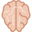brain.png