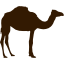 camel-silhouette.png